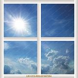 ����� ���� � ���������� 1200�1200�� LW-1212-R02-221807284