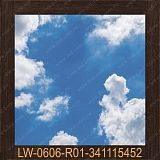 ����� ���� � ���������� 600�600�� LW-0606-R01-341115452