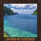 ����� ���� � ���������� 600�600�� LW-0606-R01-529528423