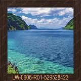 ����� ���� � ���������� 600�600�� LW-0606-R01-529528423